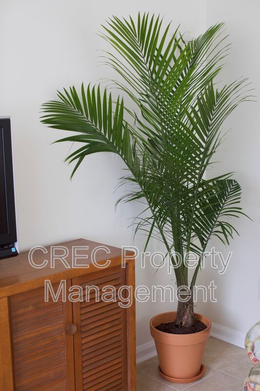 Move-In Ready! Fully Furnished 3-Bedroom, 2.5-Bath Home – Just Bring Your Suitcase! property image