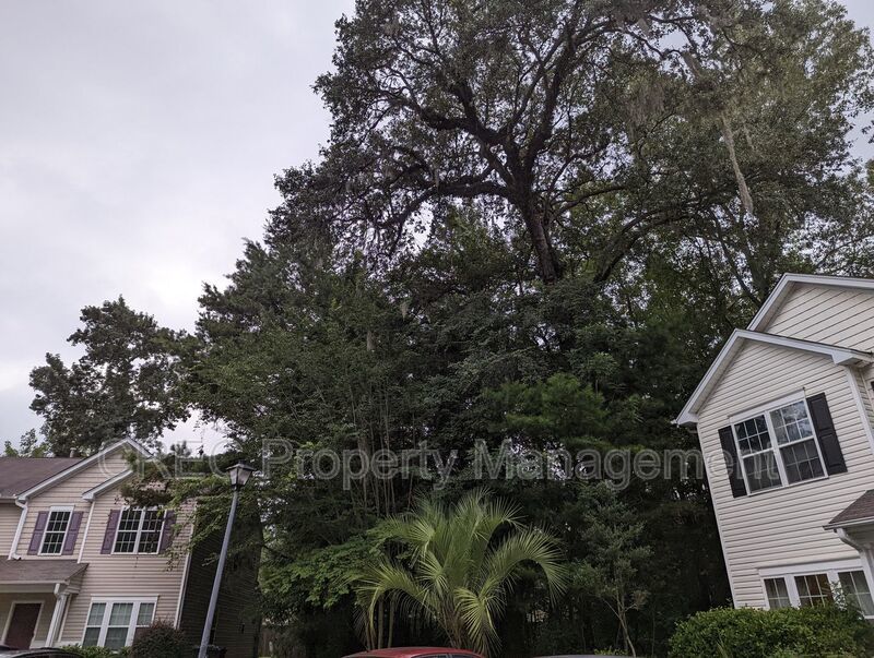 Rare Opportunity in The Park at Arbor Oaks property image