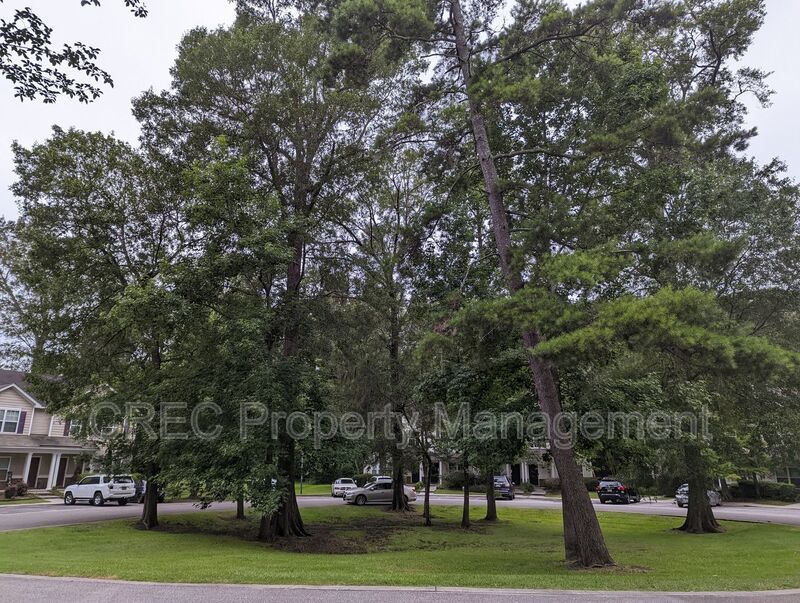 Rare Opportunity in The Park at Arbor Oaks property image