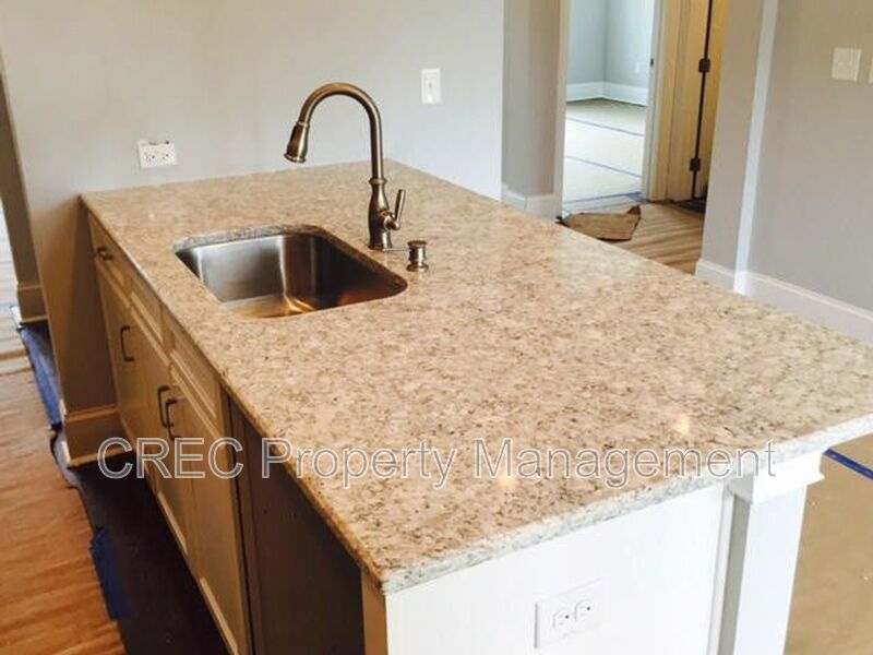 Luxury Living in Carolina Park | 4BR Home with First-Floor Guest Suite & Designer Finishes property image