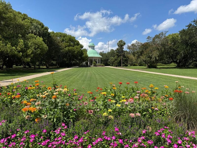 Luxury Three Level Downtown Charleston Home Near Hampton Park with Private Balconies property image