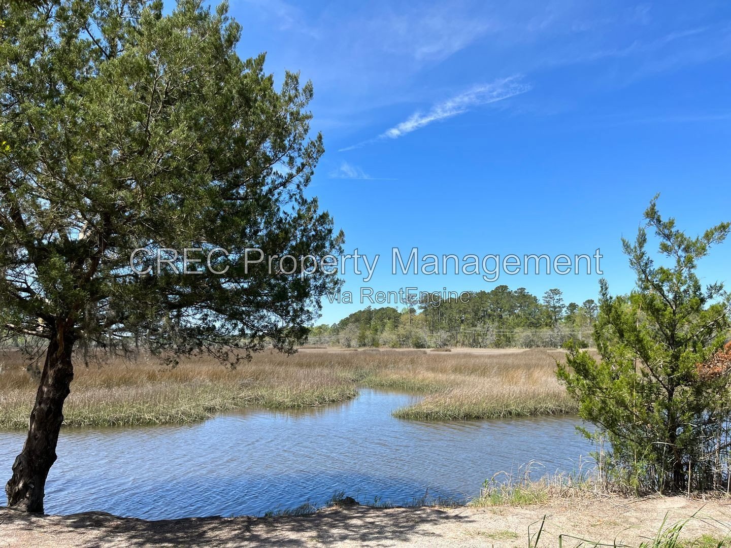Beautiful 3 Bedroom Townhome in Prime Johns Island Location property image