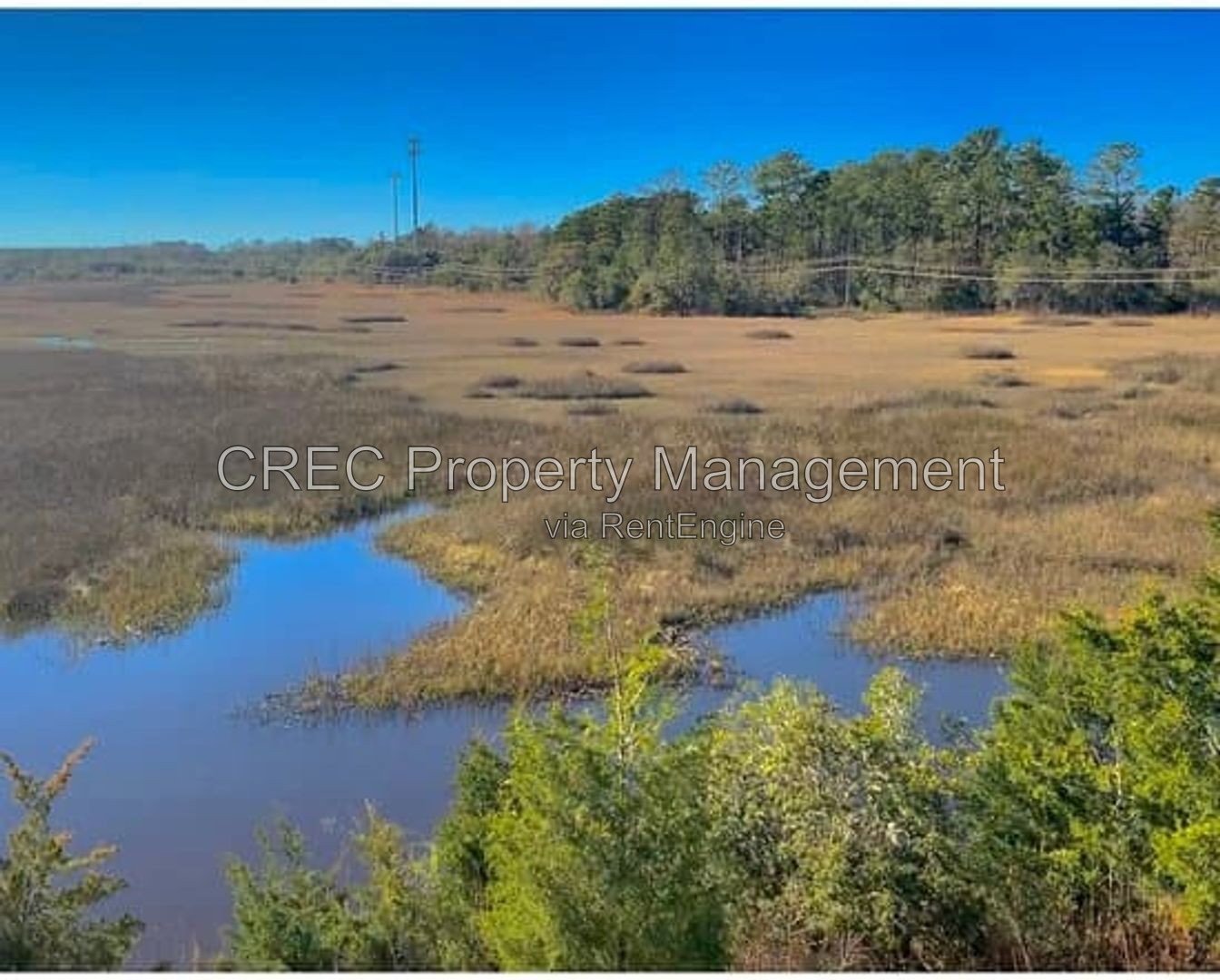 Beautiful 3 Bedroom Townhome in Prime Johns Island Location property image