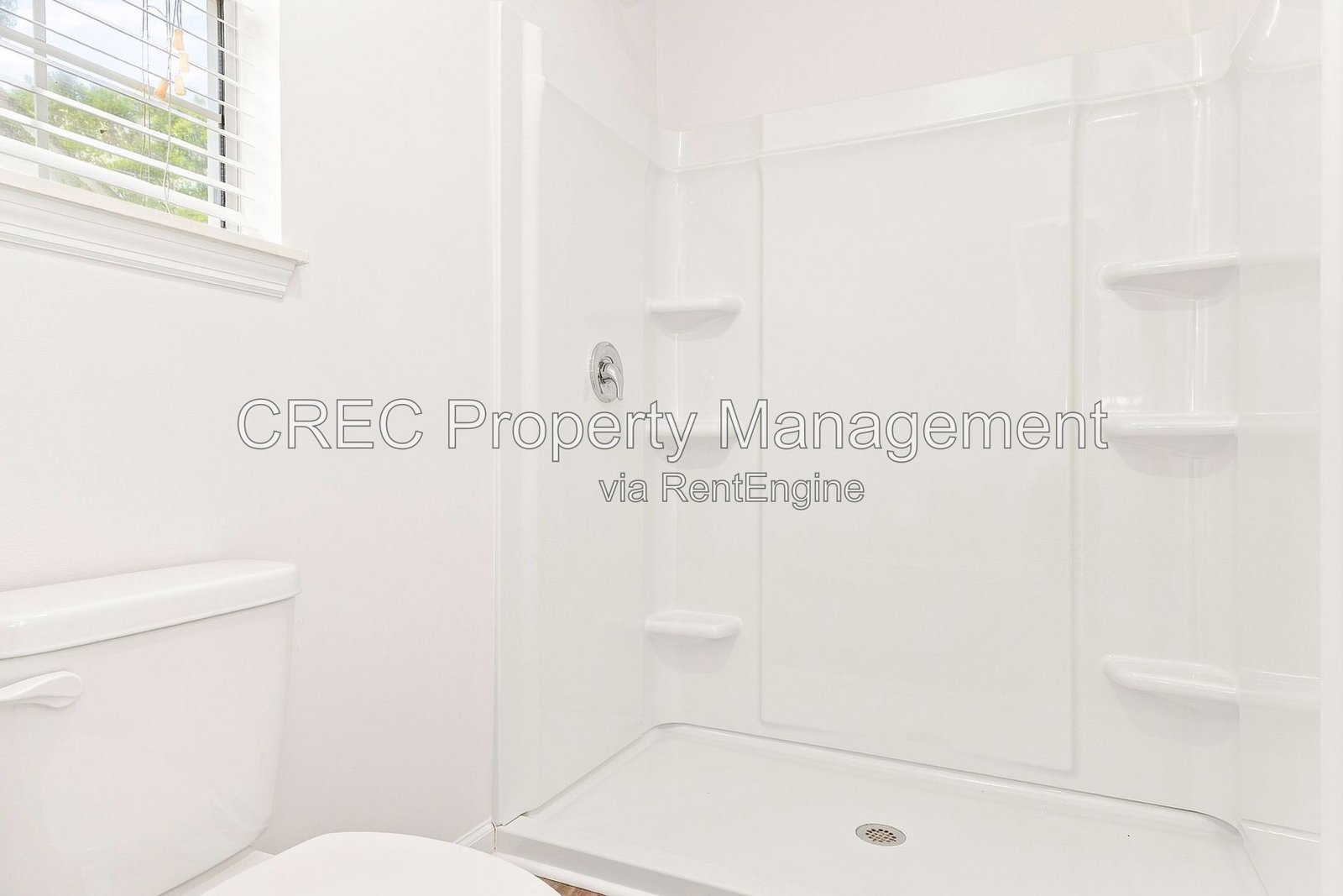 NEWLY RENOVATED! Single story home in Chandler Village property image
