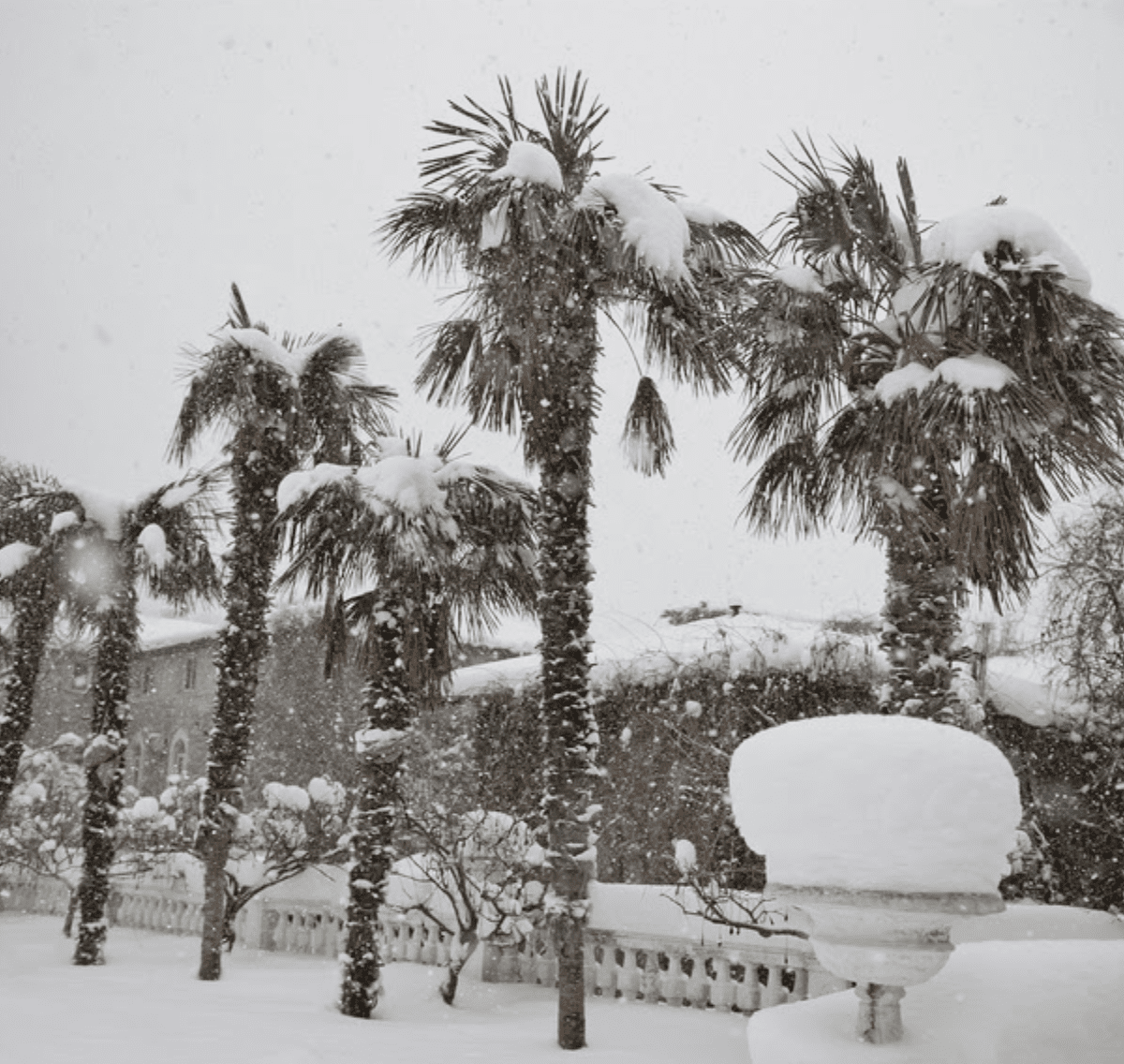 Preparing Your Home for Lowcountry Winters