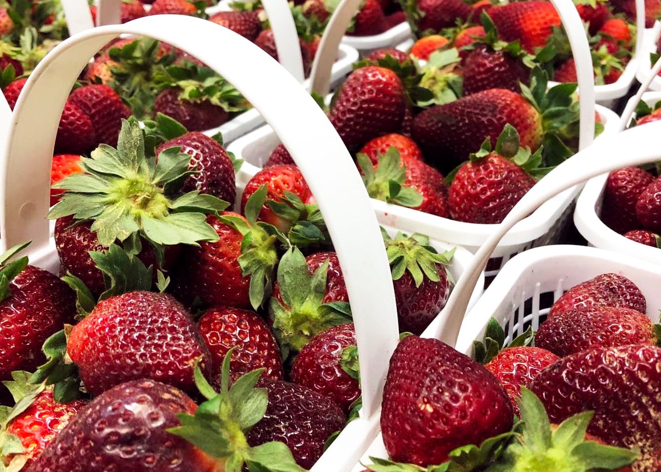 Things to Do in Charleston in April 2022