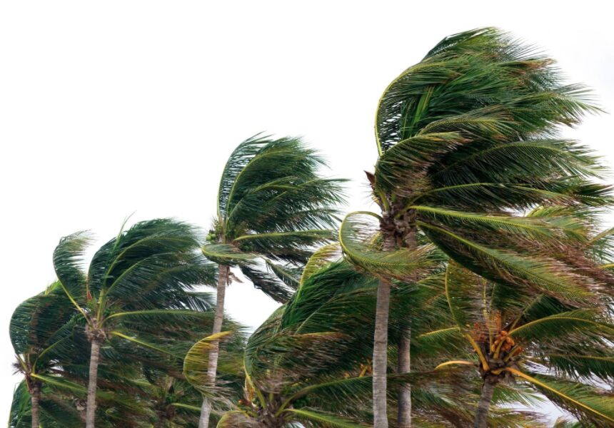 Hurricane Season Preparation for Rentals