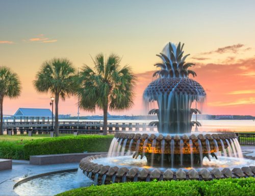 Reasons You Should Consider Moving to Charleston