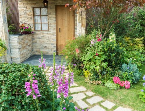 Landscaping and Curb Appeal: Boosting Your Rental Property’s Value